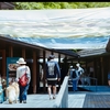 【フィルム】NIKKOR-P 200/4で中判・中望遠散歩