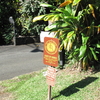 トレッキング in Hawaii　⑦コロワル・トレイル（その１）