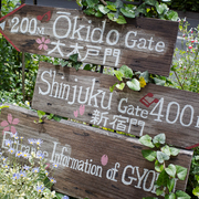 記事一覧 T S Eye 東京散歩