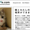 ネコさんの写真ばかりがたくさんみられる！"Cat-and-Me.com"