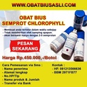 Obat Bius Paling Ampuh