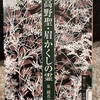 『高野聖・眉かくしの霊』泉鏡花