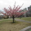 都川公園♪（千葉県千葉市中央区長洲）