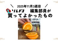 切れ味が気持ちいいテーブルナイフ！｜2025年11月（3週目）の編集部が買ってよかったもの
