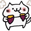 作ってみたくなる小説📖