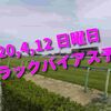 2020,4,12 日曜日 トラックバイアス予想 (中山競馬場、阪神競馬場、福島競馬場)