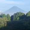 今朝の景色