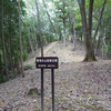 荒木山東塚古墳・西塚古墳　岡山県真庭市上水田