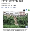 広瀬川沿いマンション崖崩れ