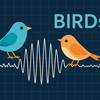 脳波所見BIRDs (Brief Potentially Ictal Rhythmic Discharges) の臨床的意義と実践的アプローチ：ACNS 2021ガイドラインに基づく総説