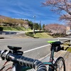 中津市三光上深水　深泉寺しだれ桜を見に自転車トレーニング。