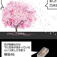 桜の木とは 動植物の人気 最新記事を集めました はてな