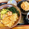 そば政【蕎麦政】（足立区南花畑 六町駅）冷したぬきそば430＋かき揚げ