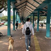 香港情報 カテゴリーの記事一覧 日本語しか話せないのに香港へ移住し 香港情報 カテゴリーの記事一覧 日本語しか話せないのに香港へ移住し