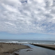 千葉南 白渚 千倉 和田浦 平砂浦 マルキ等 波情報