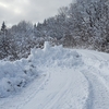 裏山が除雪され隣町との道が開通しました😺　まだ🚫ですけど