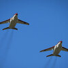 航空自衛隊芦屋基地の練習機とコスモス！