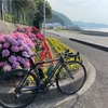 田舎 de サイクリング