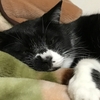 ◼️眠い💤から目覚めた😽❣️