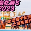 【福島牝馬ステークス2023】出走馬予定馬データ分析と消去法予想