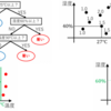 決定木(Decision Tree)