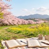 一人で学んでも、なぜか身につかない。その理由、気づいていましたか？