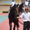 【一口馬主／ベイステート】奇跡は起こらず、残念な結果に…