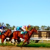 アルゼンチンの競馬事情