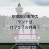 相模原公園のランチどうする？カフェや売店、お弁当を食べられる場所も