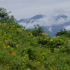 2021年白山高山植物園（その２）