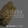 1653食目「5月10日はゴボウの日」野菜と果物の記念日シリーズその13