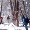 万座温泉から朝日山−ぼうず山 周回スノーシュー コース研修会