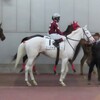260314中京競馬場観戦速報１２