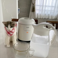 熱中症の症状