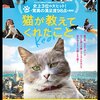 段差に寄りかかる野良猫「トンビリ」が座った場所には銅像が建てられている