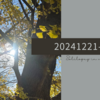20241221-22
