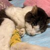 コタ順調です