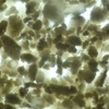 珪藻土の精製に挑戦。ピラニア酸、過酸化水素水で超音波洗浄。