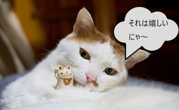 記事を見る