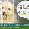 ふるさと納税から、犬殺処分ゼロ達成へ！～あたらなクラウドファウンディングのかたち