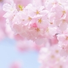 息子の卒業式の日のこと