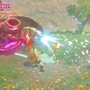 【ゼルダBotW】砦のガーディアンの分布