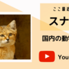 スナネコが見られる動物園 やオススメYouTubeまとめ