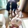 うさぎのかなぴーが見守る中チェンマイの自宅コンドで鳥よけ設置と浄水器のフィルター交換を～