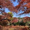 Fall colors　その３