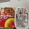 カレー弁当超サボり