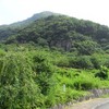 梅雨が明けても涼しかった湯河原幕岩で割礼塔・ダークへラー (5.9)が登れました