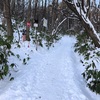 断酒１７１日目   雪の藻岩山