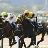 【北九州記念】３連勝中ダイアナヘイロー　芝単走でラスト１１・５秒