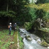 神崎川樫原谷(山県市)  20190831